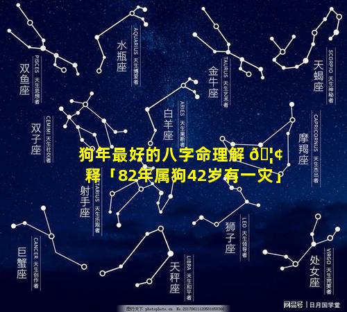 狗年最好的八字命理解 🦢 释「82年属狗42岁有一灾」